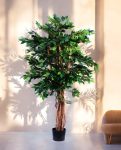 MINI FICUS 120cm 19348(a) (2)