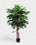 MINI FICUS 120cm 19348(a) (2)