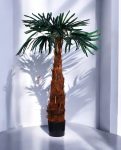 MOUNTAIN PALM 130cm 19353(b)