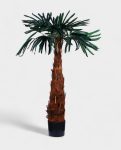 MOUNTAIN PALM 130cm 19353(b)