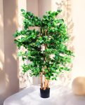 ORIENTAL FICUS 120cm 18333(b) (2)