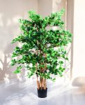 ORIENTAL FICUS 120cm 18333(b) (2)