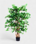 ORIENTAL FICUS 120cm 18333(b) (2)