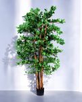 ORIENTAL FICUS 120cm 18333(b) (2)