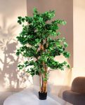 ORIENTAL FICUS 120cm 18333(b) (2)