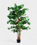 ORIENTAL FICUS 120cm 18333(b) (2)