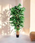 ORIENTAL FICUS 120cm 18333(b) (2)