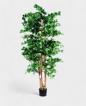 ORIENTAL FICUS 120cm 18333(b) (2)