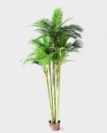 PALM TREE (Multi) 360cm CH10817755(a)