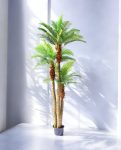 PHOENIX PALM (3 trunk) 300cm CH10811805(a) (2)