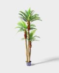 PHOENIX PALM (3 trunk) 300cm CH10811805(a) (2)