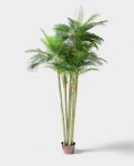 PHOENIX PALM (3 trunk) 300cm CH10811805(a) (2)