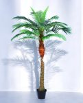 PHOENIX PALM (one trunk) 200cm CH10817745(b) (2)