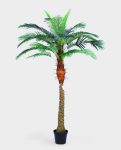 PHOENIX PALM (one trunk) 200cm CH10817745(b) (2)