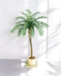 Phoenix Palm Stem 280cm 8FW33009N-05