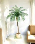 Phoenix Palm Stem 280cm 8FW33009N-05