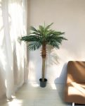 Phoenix Palm Tuft 150cm 8PHPARS20