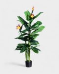 STRELITZIA 150cm 18074(a) (2)