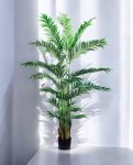 VIETNAM PALM 150cm 18075(b)