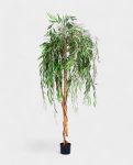 WILLOW TREE 180cm 19338(a) (2)