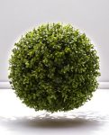 CCGA042 Buxus Ball 28×28-38×38-45×45