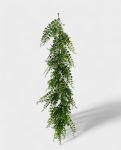 CCGT021- Fern- 60-75cm