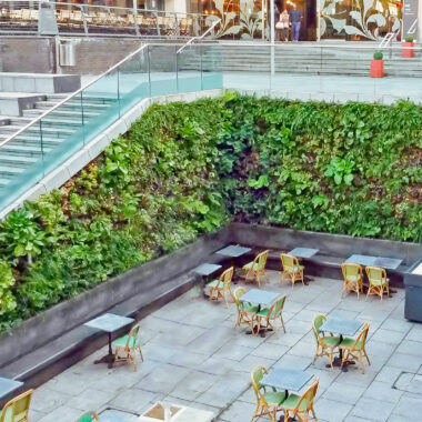 Indoor Decor Plants: Elevate Your Space