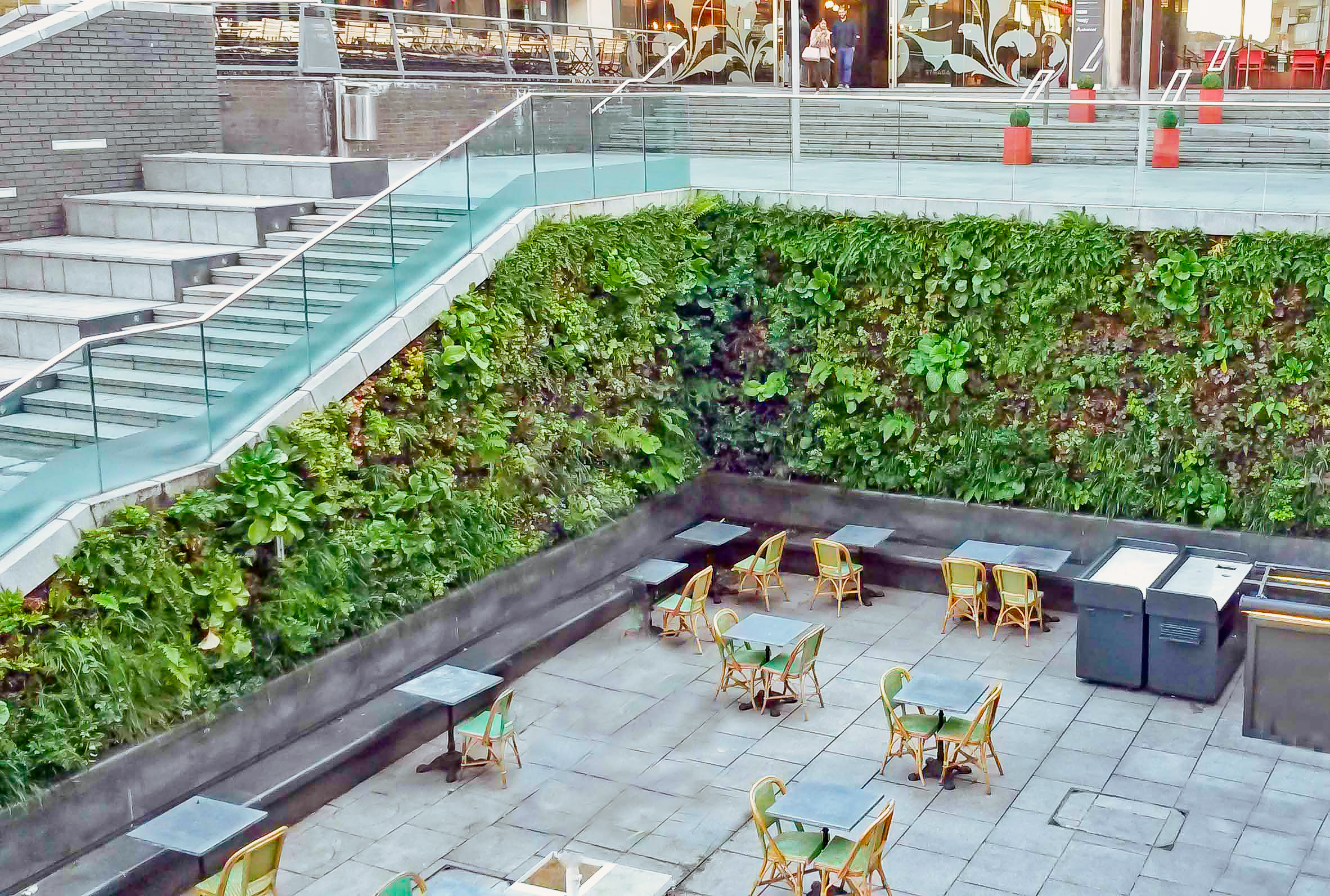 artificial plants kuwait – artificial fiddle leaf fig beside a gray sofa